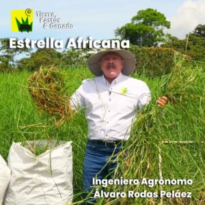 Estrella Africana