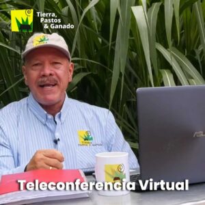 Asesoría Virtual 1h